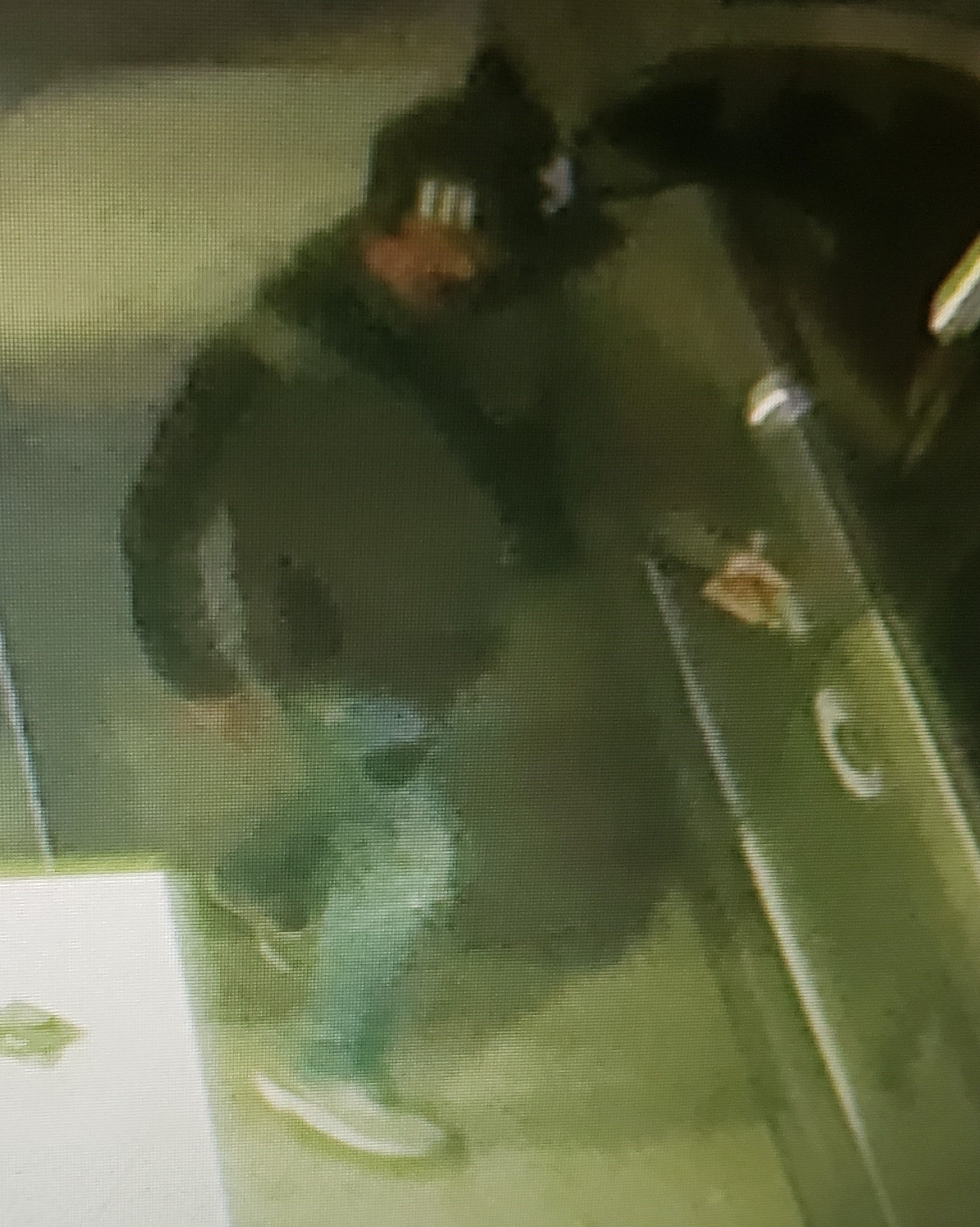 Backseat bandit being sought by Kamloops RCMP CFJC Today Kamloops