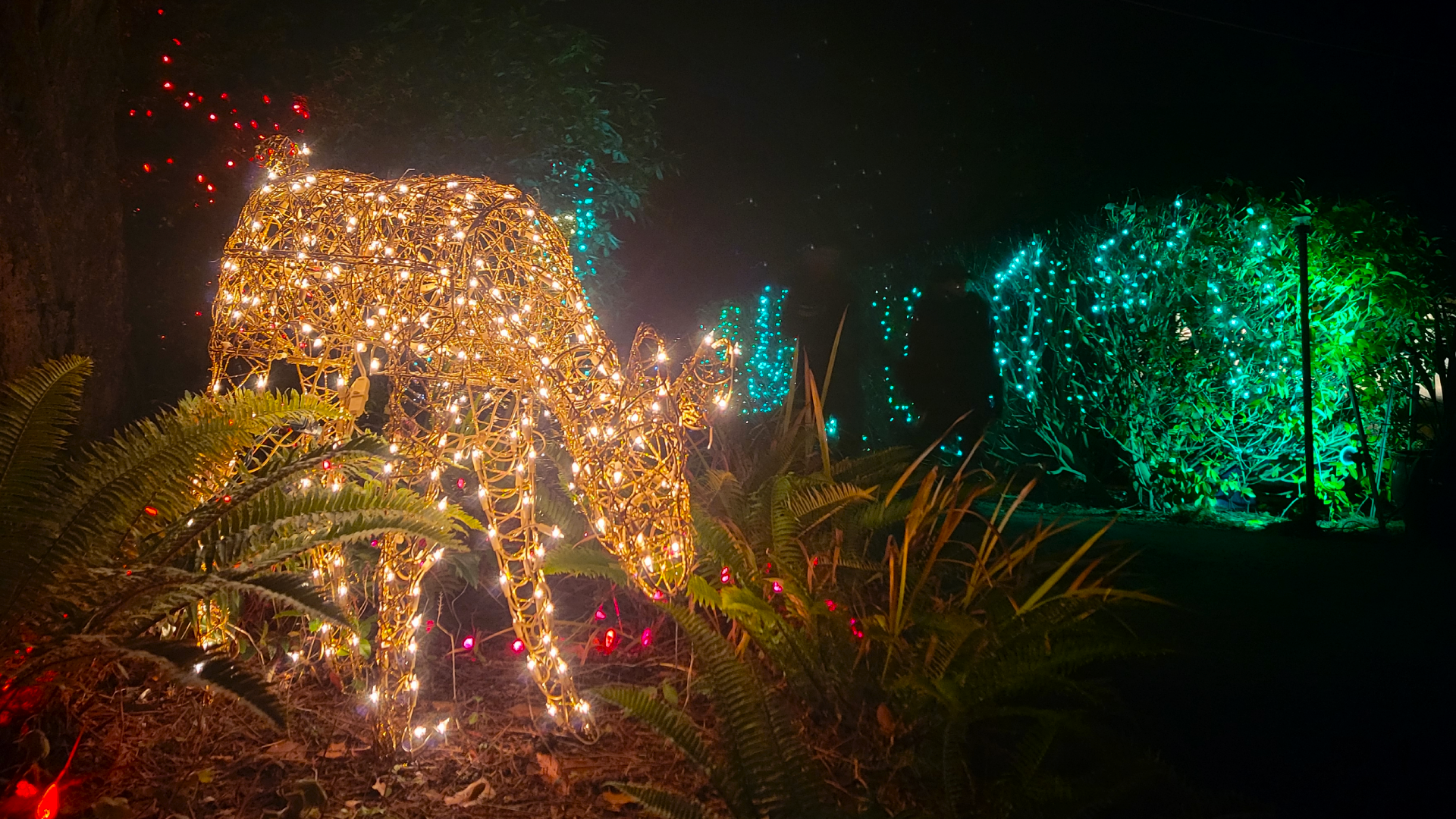 Milner Gardens Christmas Magic 2022 Video: 'We're Just Thrilled:' Iconic Christmas Lights Tradition Returns To  Mid-Island | Nanaimonewsnow | Nanaimo News, Sports, Weather, Real Estate,  Classifieds And More
