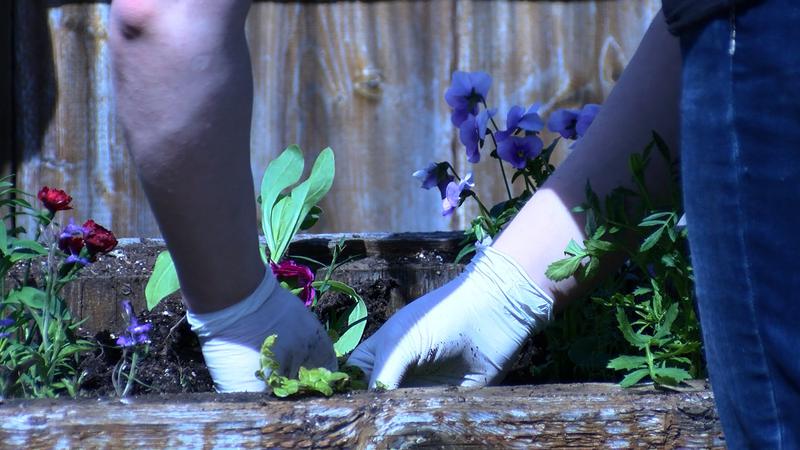 2022 The Year Of The Garden CKPGToday ca
