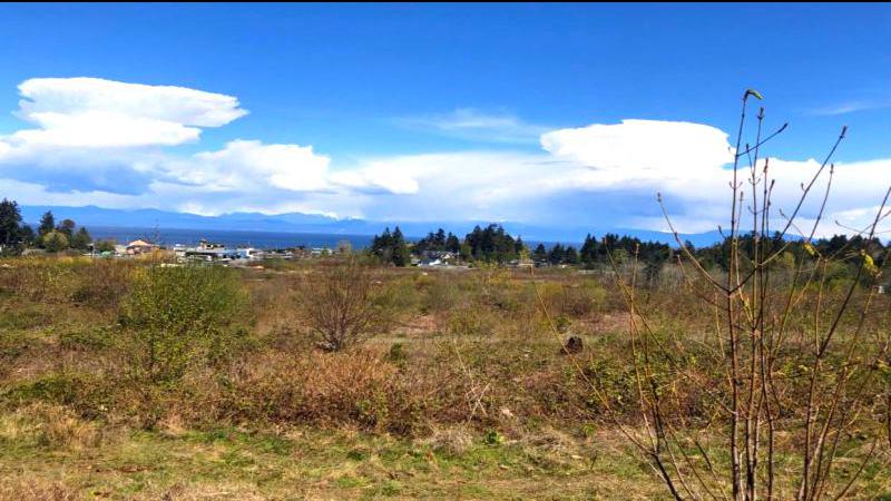 Public strongly opposes high-density development concept in Lantzville