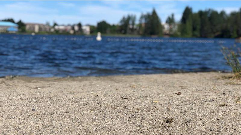 Last summer’s heat wave was among most extreme since 1960s, study shows