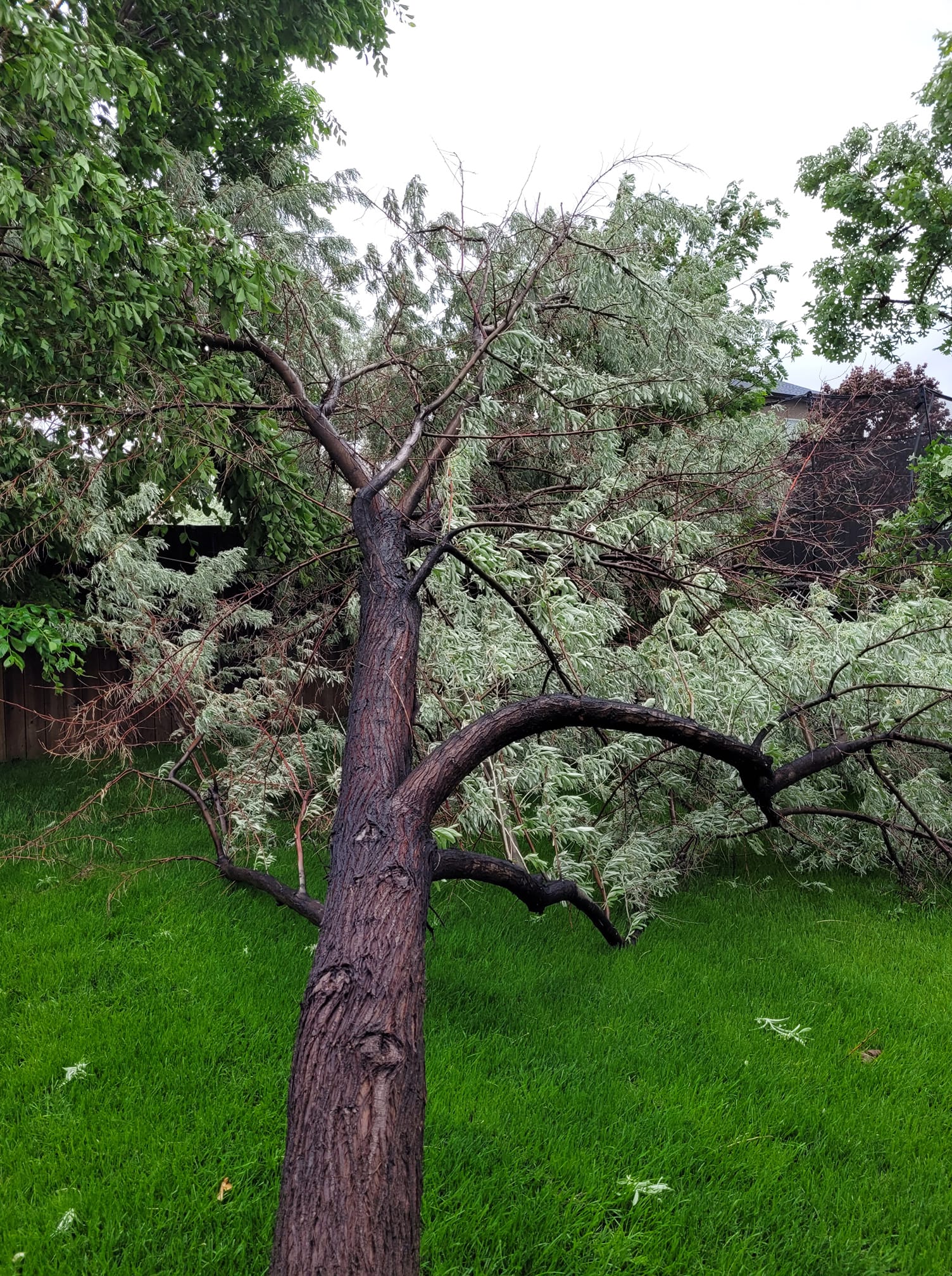 Wet and windy Wednesday weather hits Medicine Hat CHAT News Today