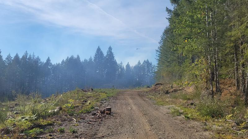 VIDEO: Small brush fire spotted along Nanaimo River