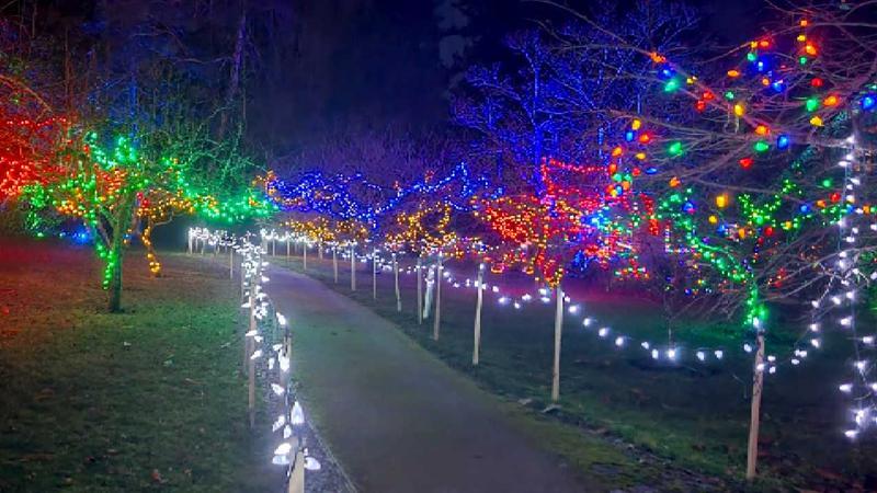 Dazzling Milner Christmas Magic lights display returning to Qualicum Beach