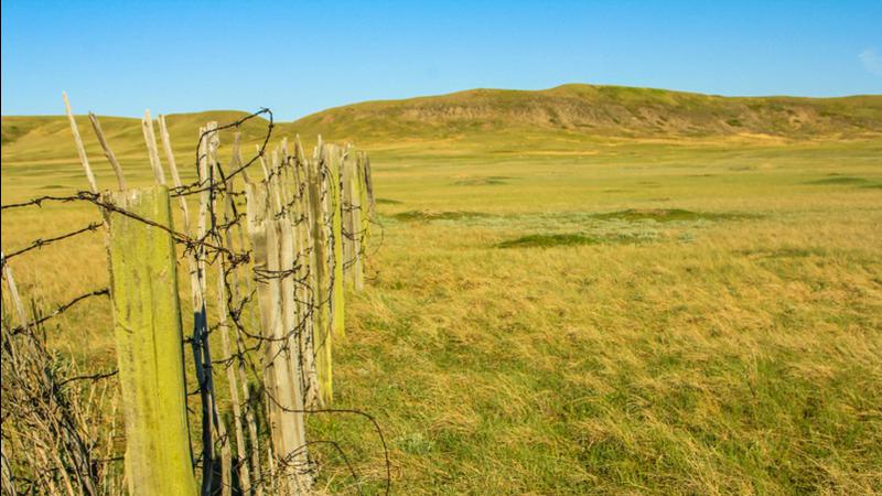 Agriculture Roundup for Thursday February 16, 2023