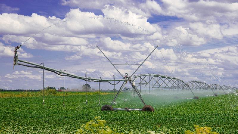 Agriculture Roundup for Thursday February 23, 2023