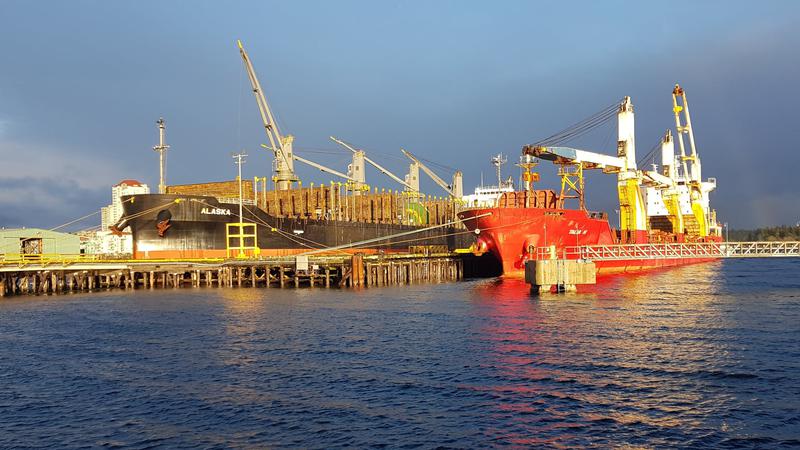 Federal funding looks to boost cargo capacity at Port of Nanaimo
