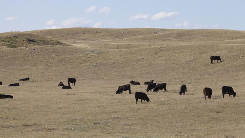 Agriculture Roundup for Friday March 24, 2023