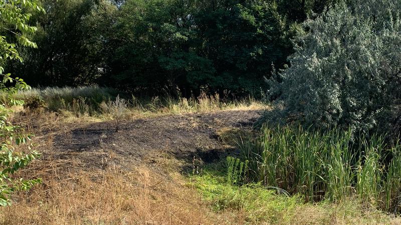 Dry conditions increase risk of grass fires: Vernon fire chief | Vernon ...
