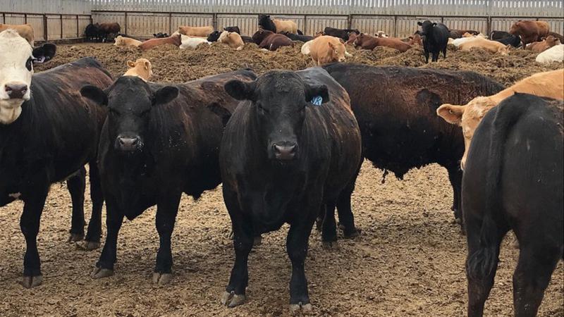 Agriculture Roundup for Monday, March 27, 2023