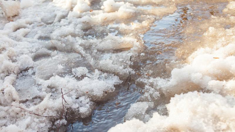 Agriculture Roundup for Friday March 31, 2023