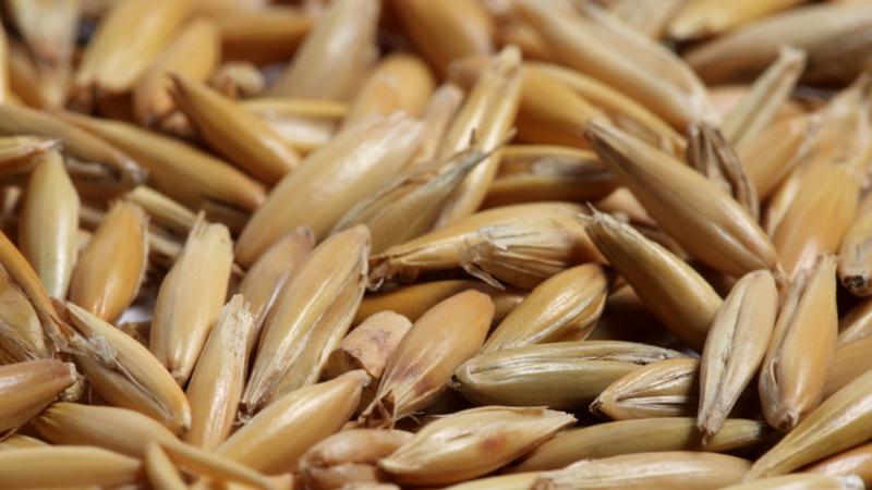 Agriculture Roundup for Thursday May 4, 2023