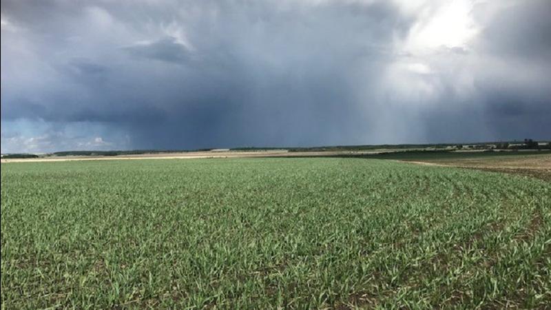 Agriculture Roundup for Friday June 2, 2023