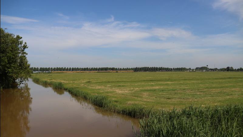 Agriculture Roundup for Monday, June 5, 2023