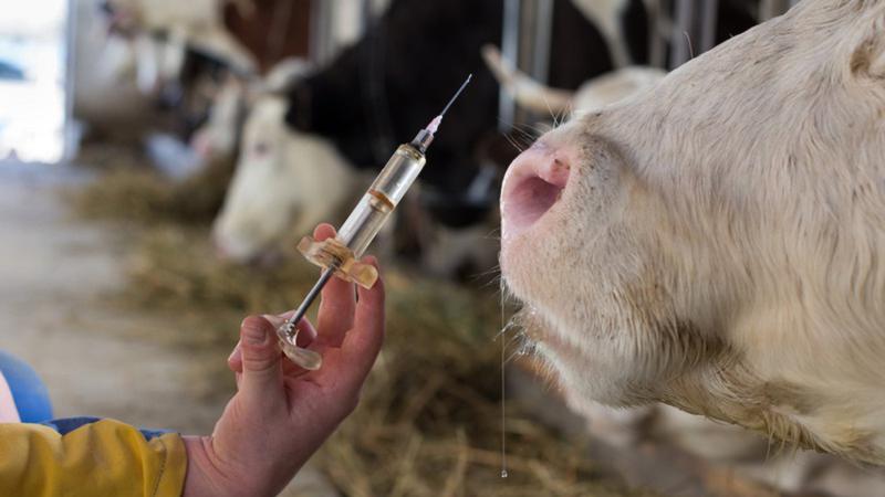 Agriculture Roundup for Thursday June 15, 2023