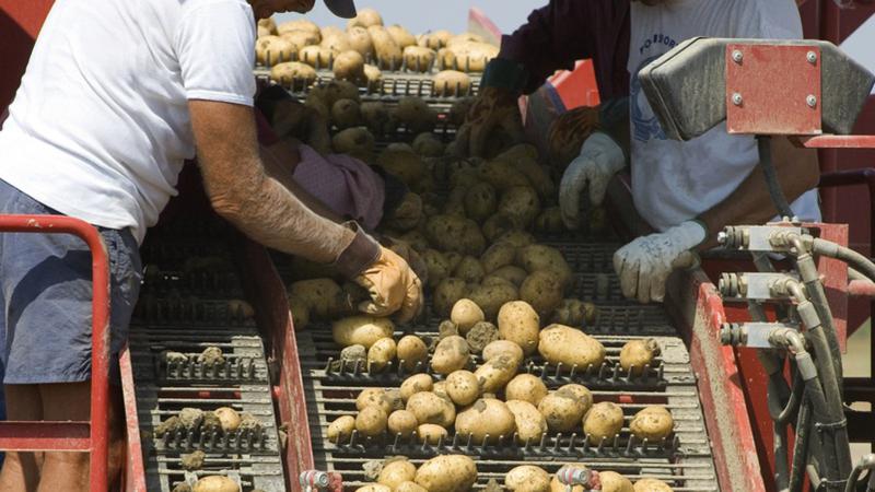 Agriculture Roundup for Monday, July 10, 2023