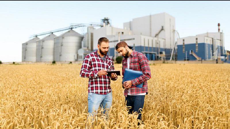 Food Day set to be celebrated across Canada