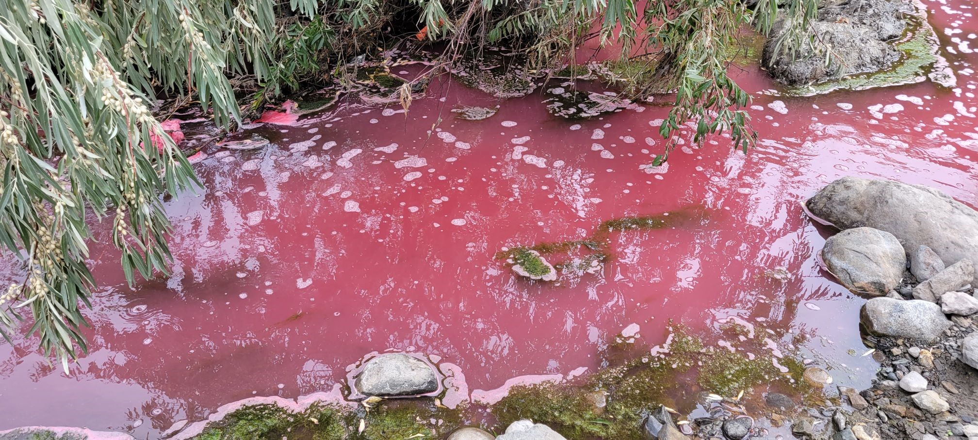 MoE, Kamloops Fire Rescue investigate pink liquid flowing into
