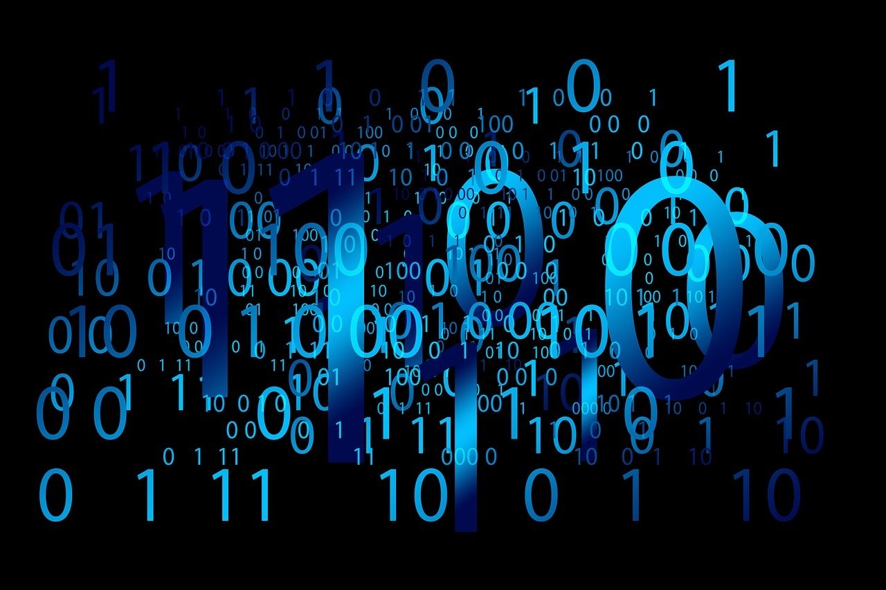 Software Security