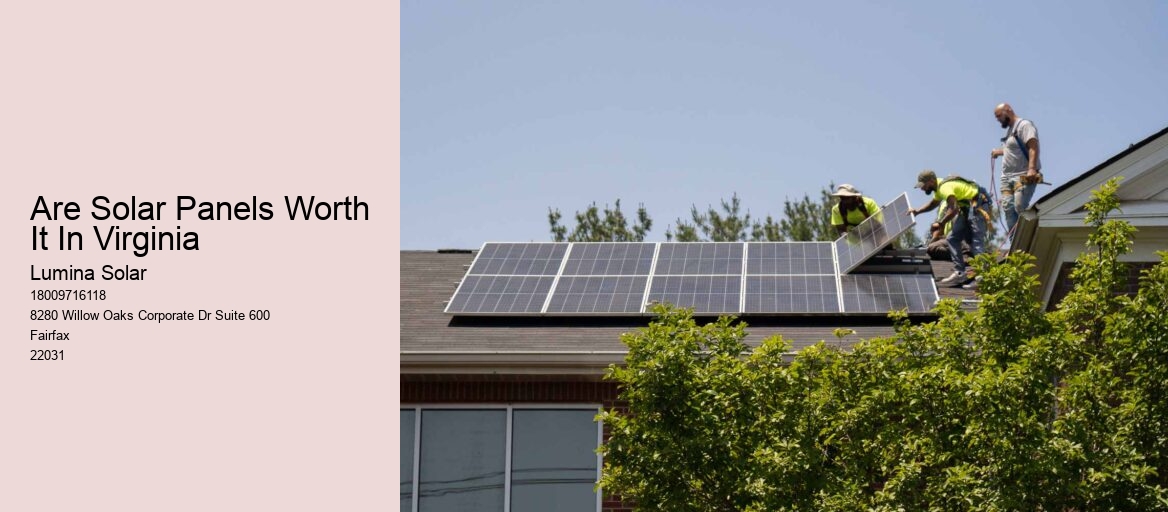 Are Solar Panels Worth It In Virginia