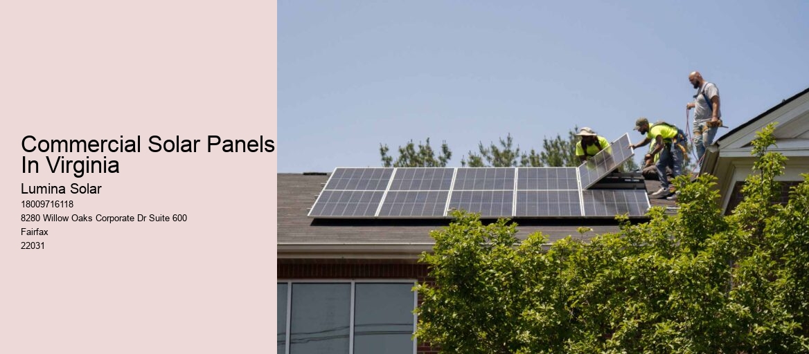 Commercial Solar Panels In Virginia