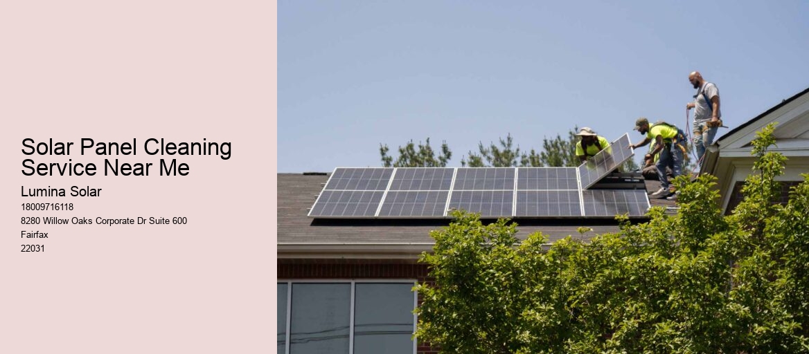 Solar Panel Cleaning Service Near Me