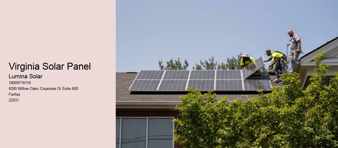 Virginia Solar Panel