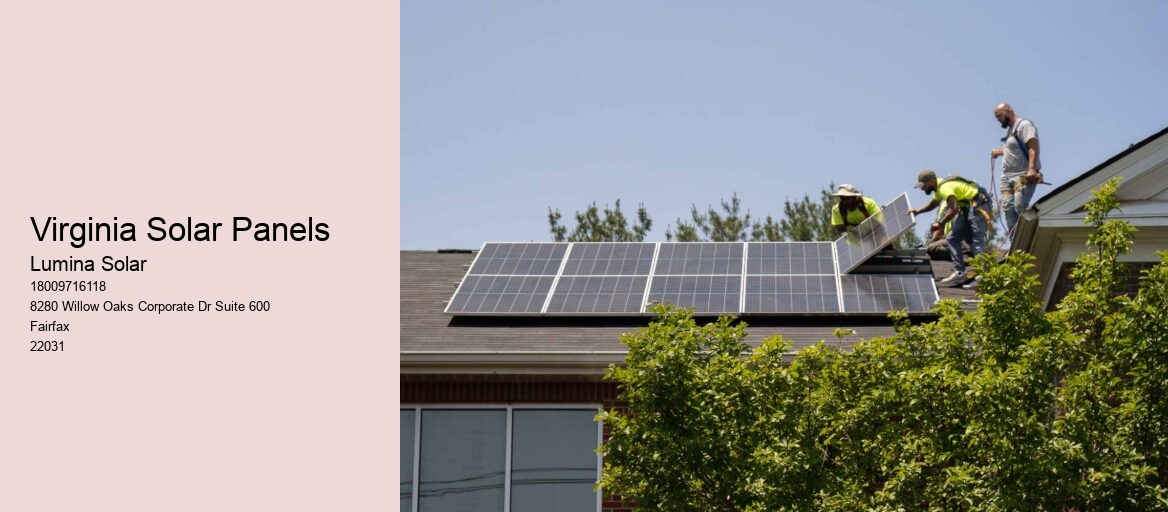 Virginia Solar Panels