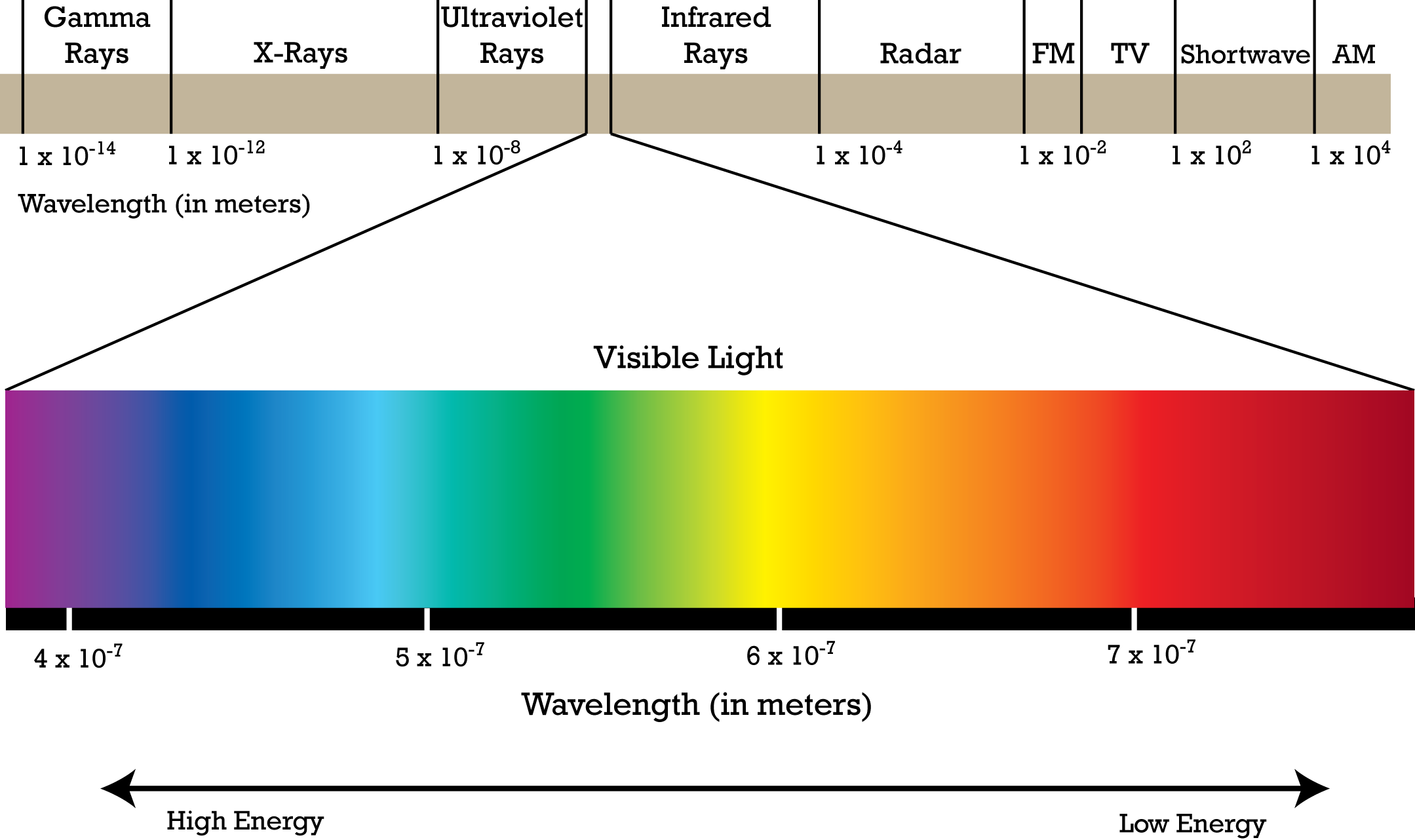 Visible Light