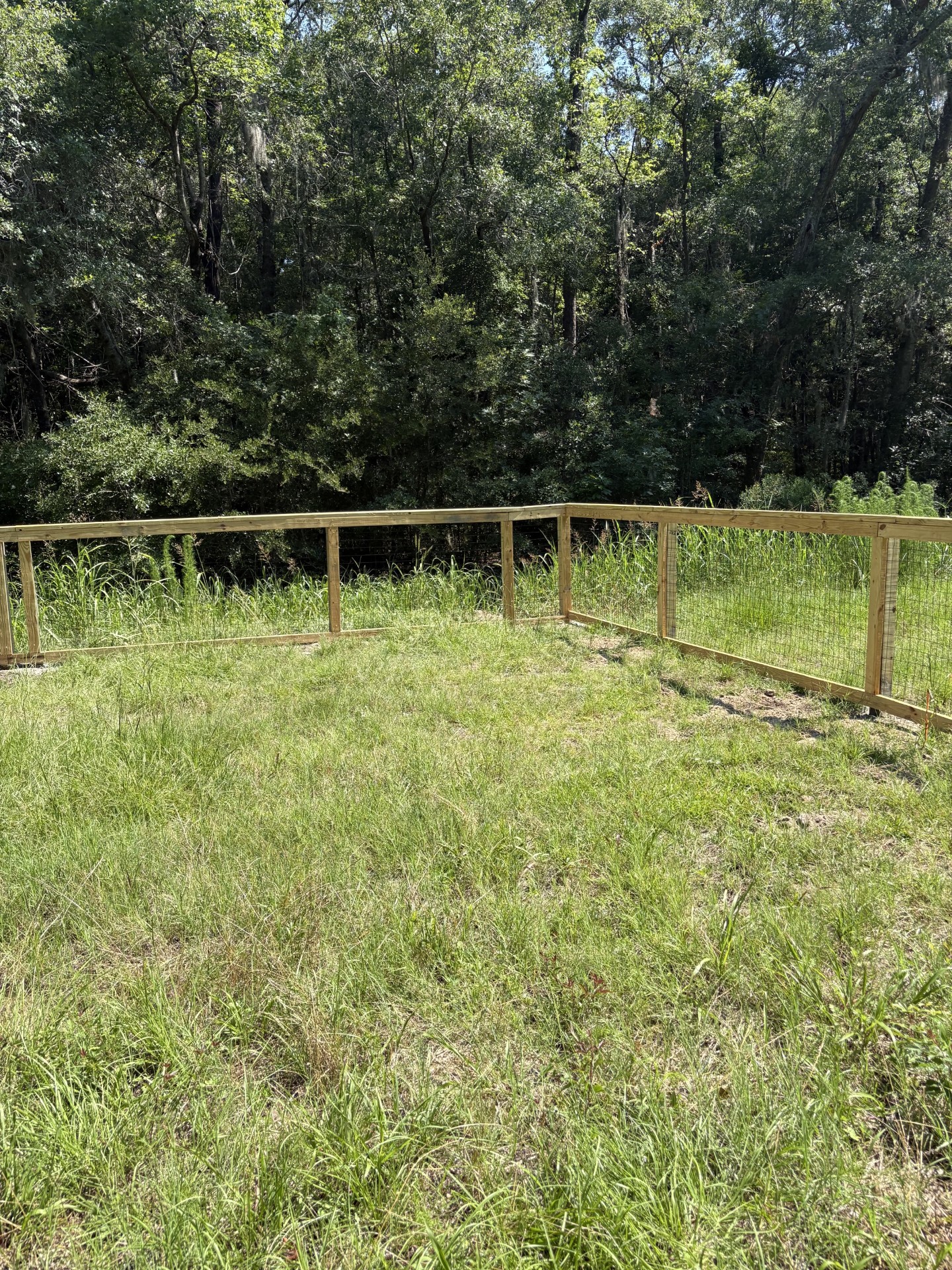 fence constructed!