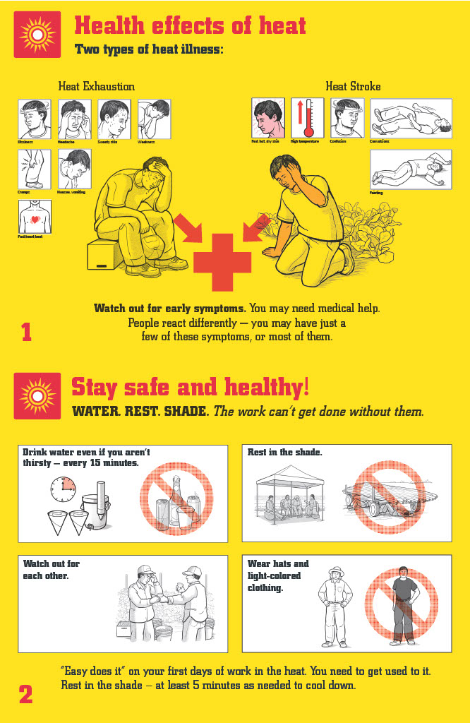 <p class="">Heat Safety Poster- English</p>