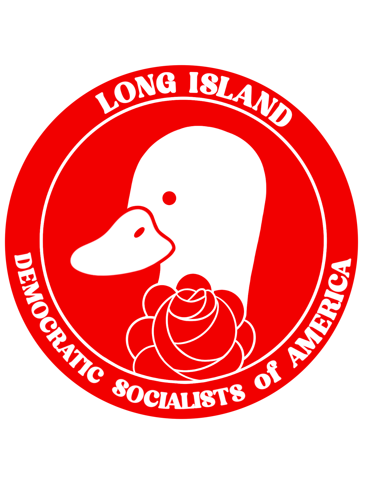 Long Island DSA