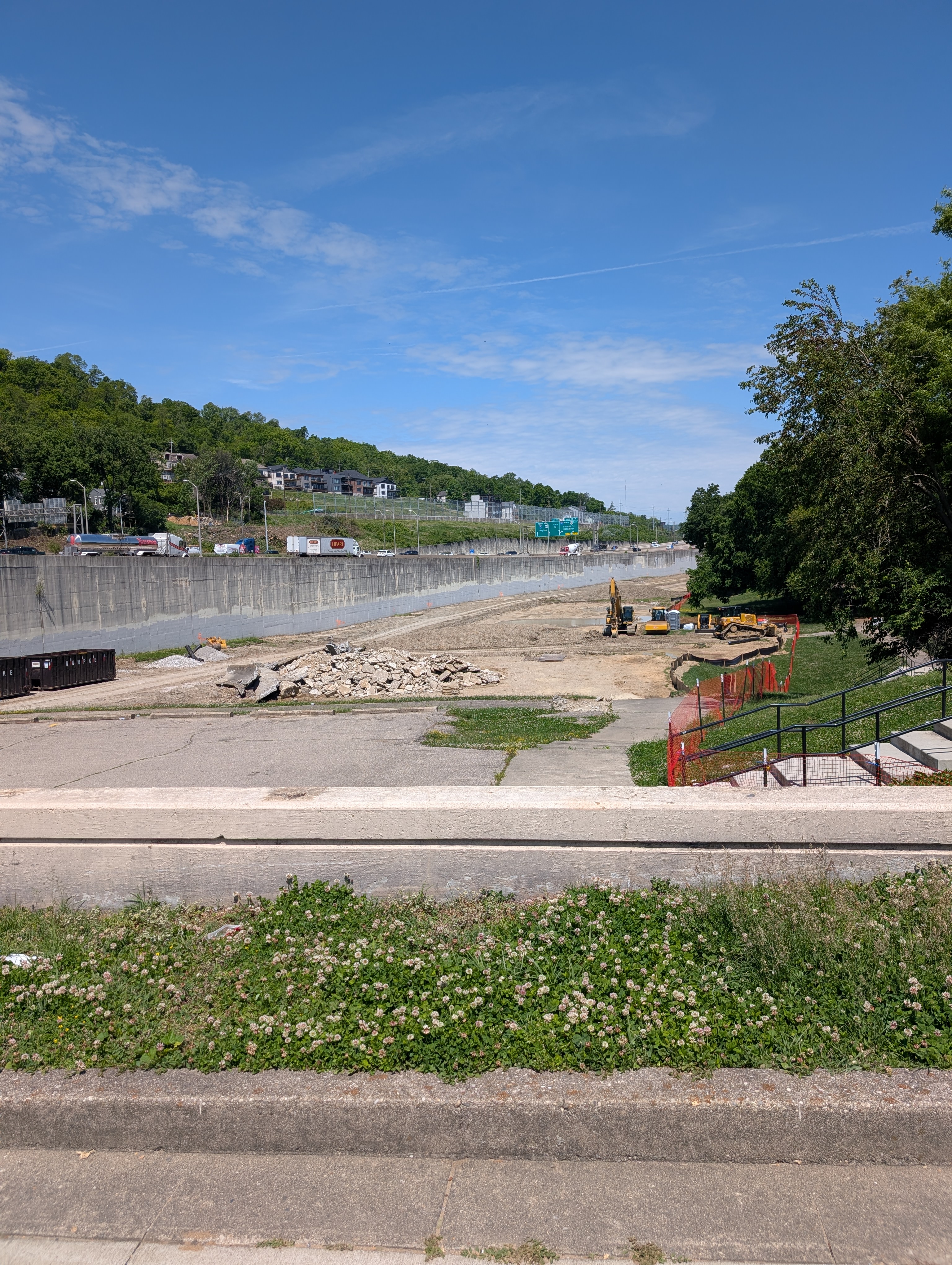 Section Image