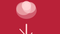 <p class="">DSA Sign Up Link</p>