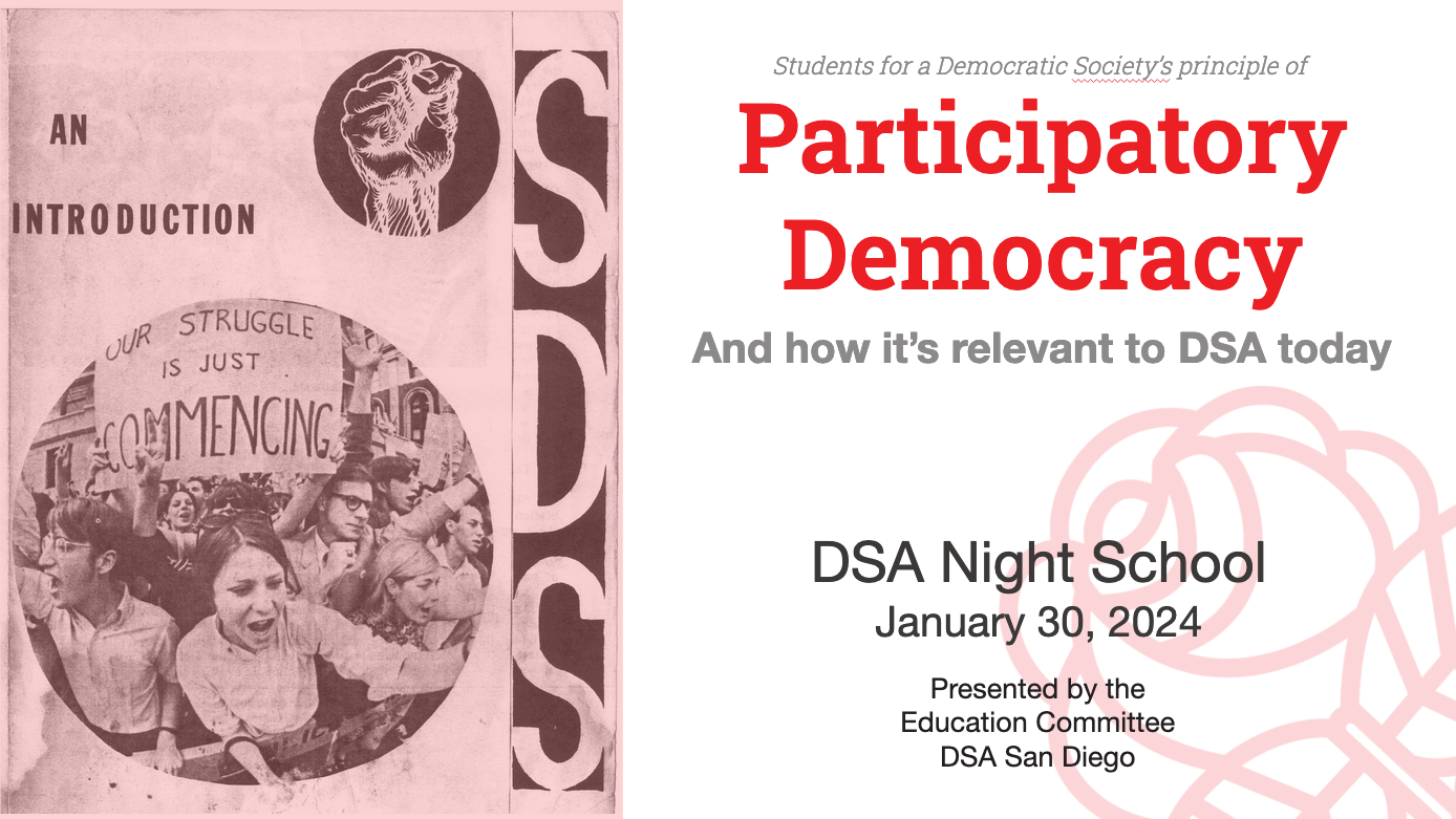 <p class="">The Principle of Participatory Democracy</p>