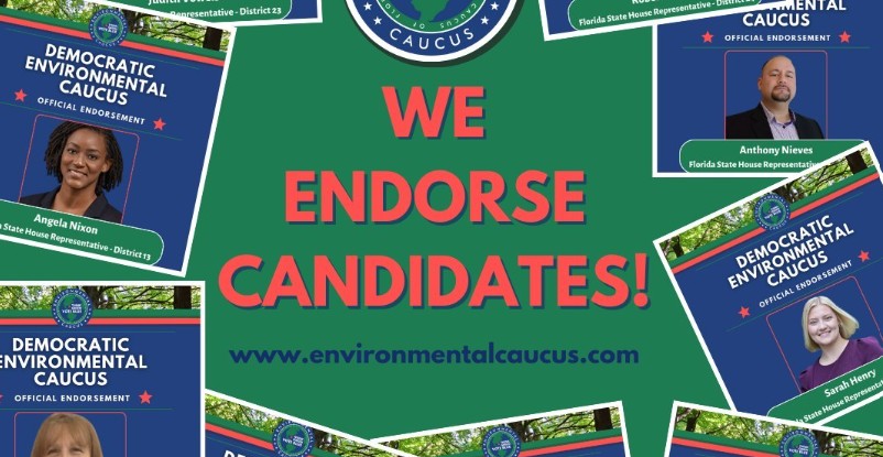 EnvironmentalCaucus.com