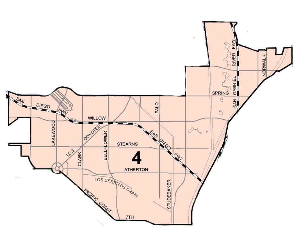 <p class=""><strong>CD 4 - Daryl Supernaw</strong></p>