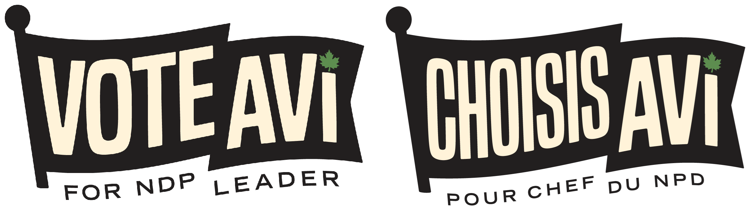 Avi Lewis for NDP Leader
