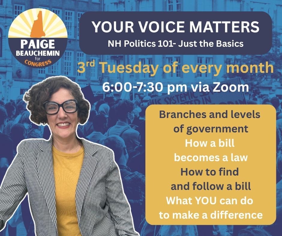 Nh Politics 101 - Just the Basic 