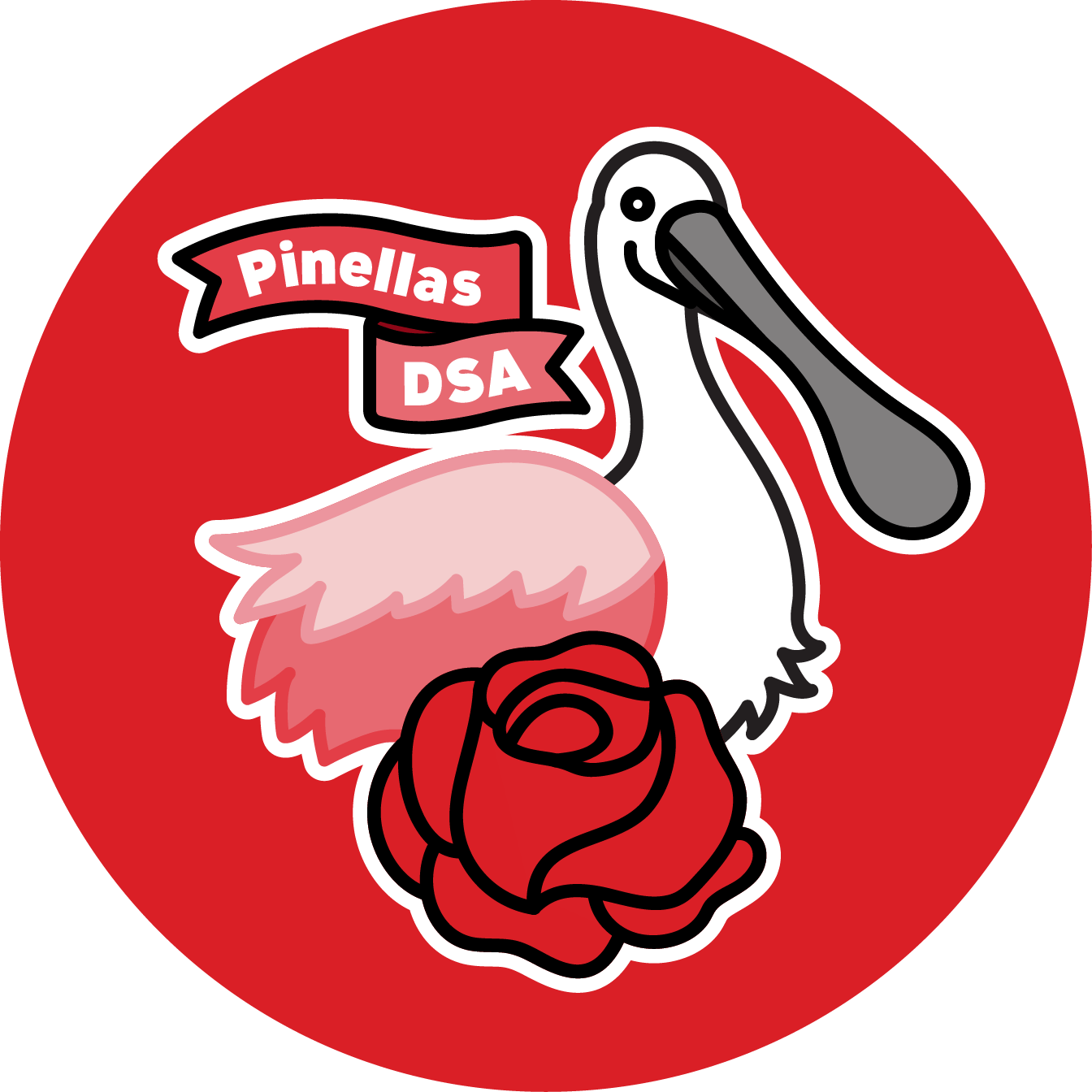 Pinellas County DSA