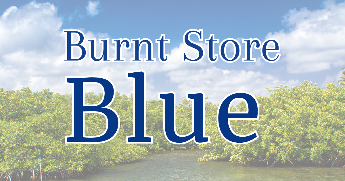Burnt Store Blue Meeting
