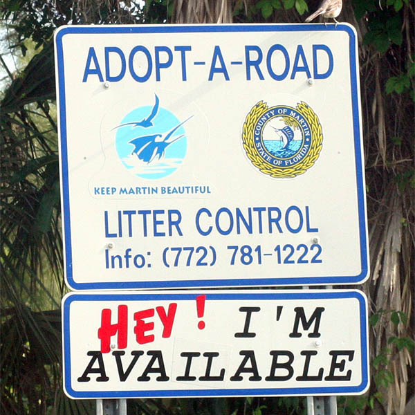 Cove Road Cleanup
