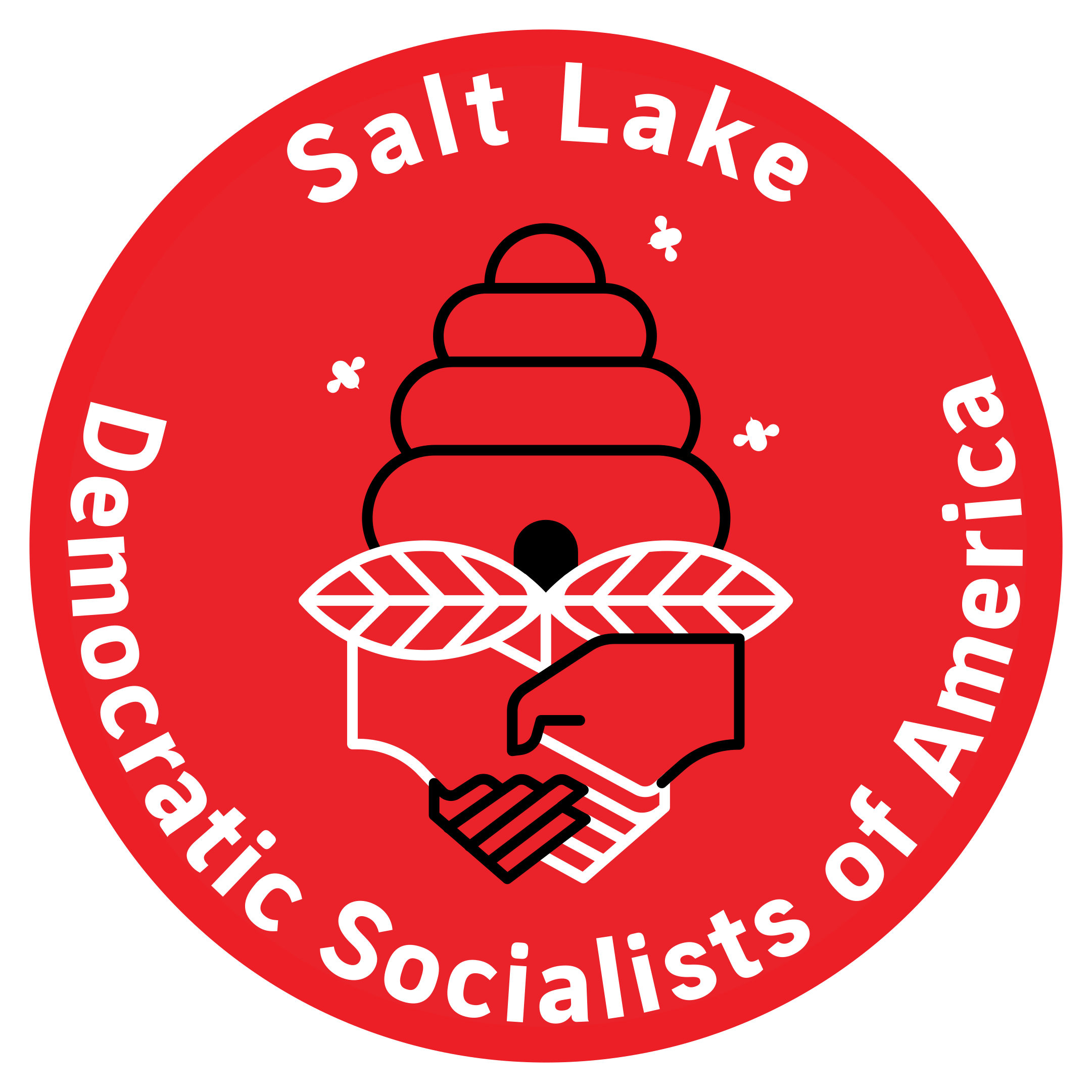Salt Lake DSA