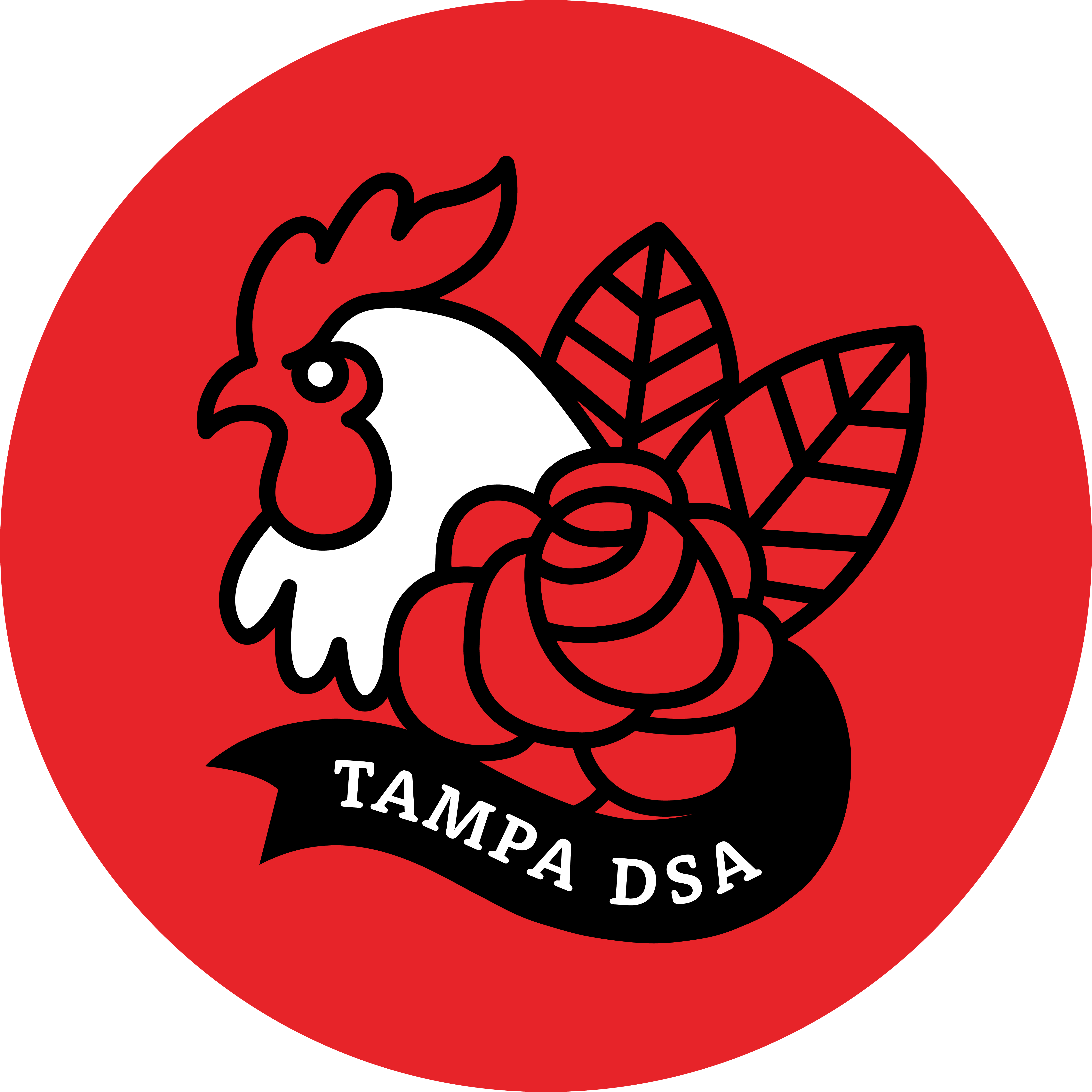 Tampa