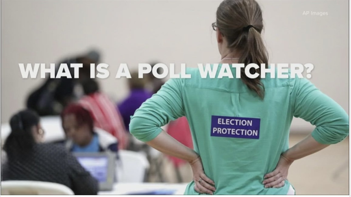 North Lee Dems: Poll watcher presentation