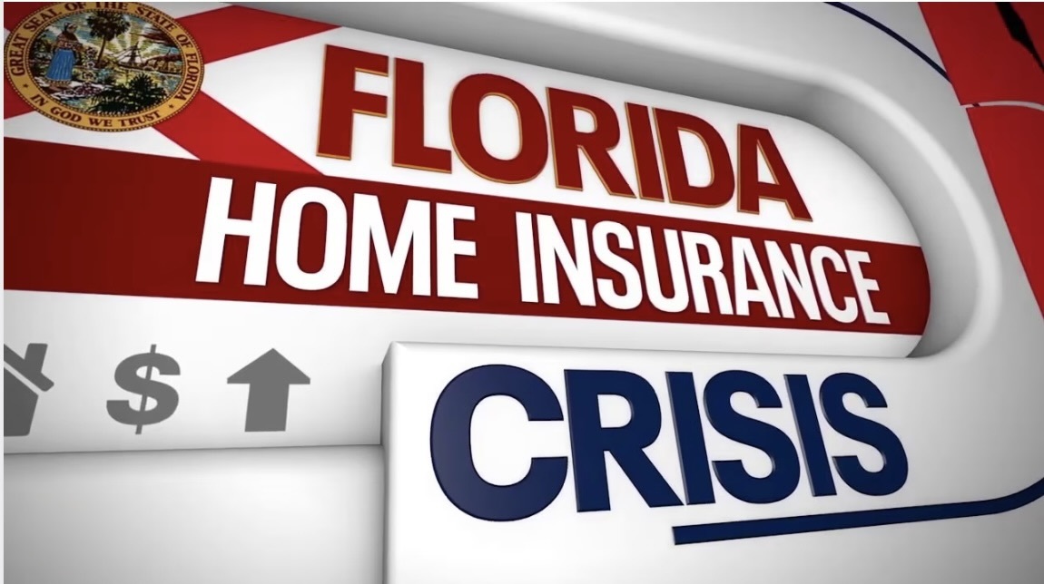 Learn about the Insurance crisis & solutions: N Lee Dems lunch