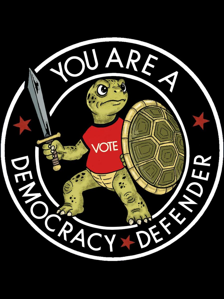 Train to Become a Democracy Defender 