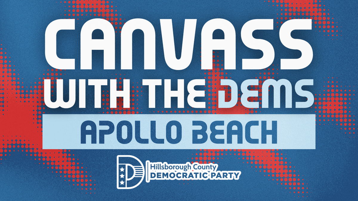 Get Out the Vote Canvassing in Apollo Beach