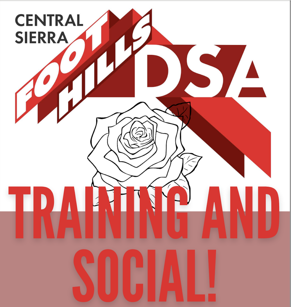 DSA Organizing Training and Social @ The Nest
