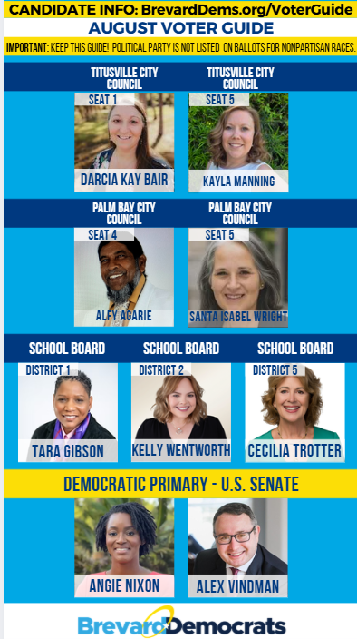 District 3/5 GOTV Lit Drop
